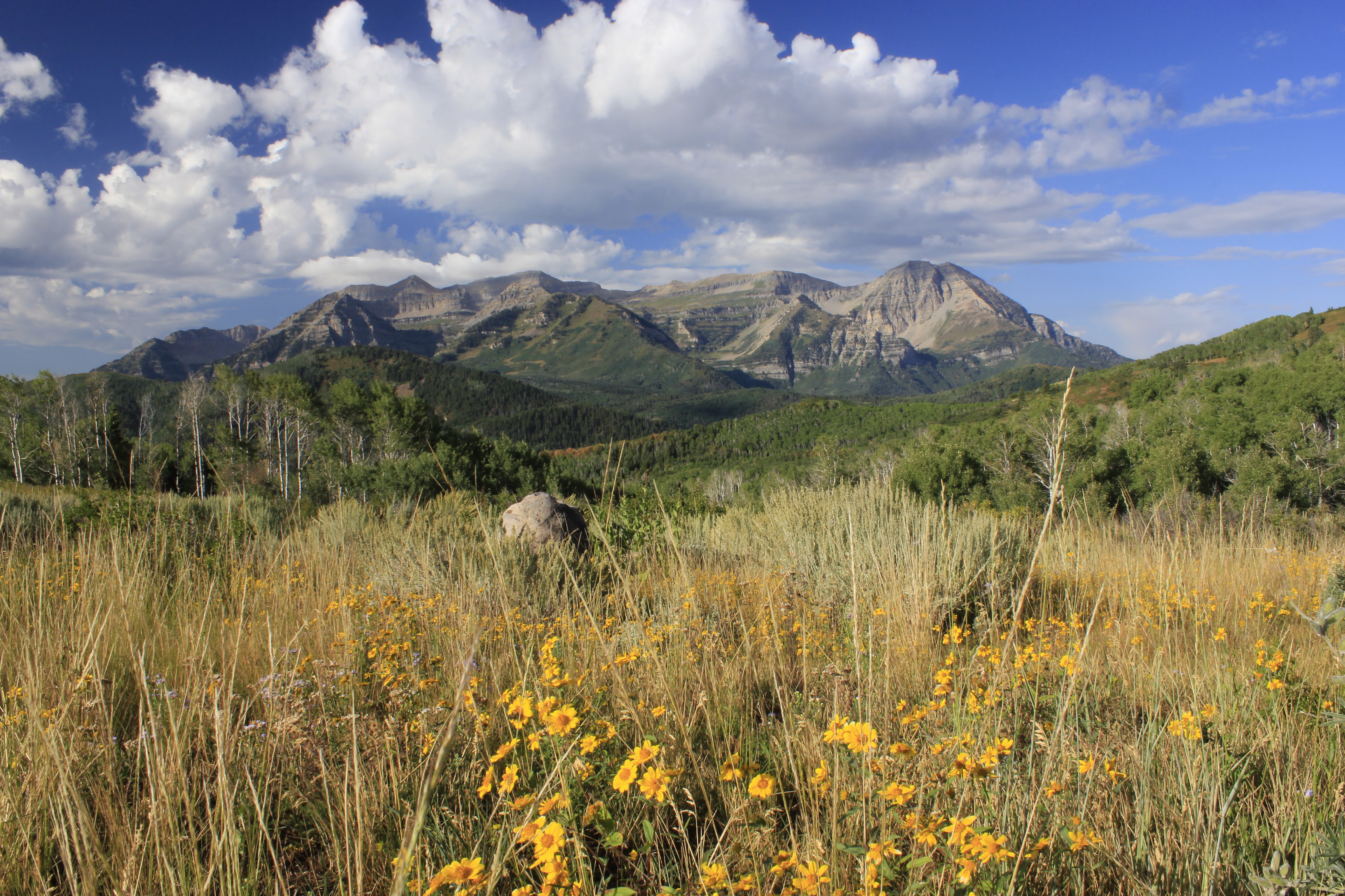 Hard Money Loans of Park City team